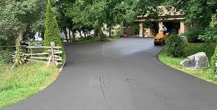 Best Driveway Snow Removal Preparation  in Buenaventura Lakes, FL